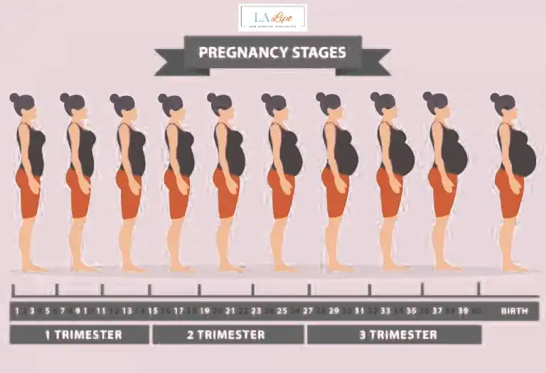 First Trimester (Weeks 1–12): Early Changes You Might Not Notice Balsall